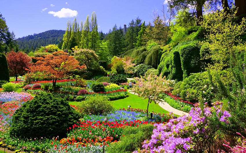 布查花園